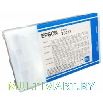 Картридж Epson C13T603200 картинка 2
